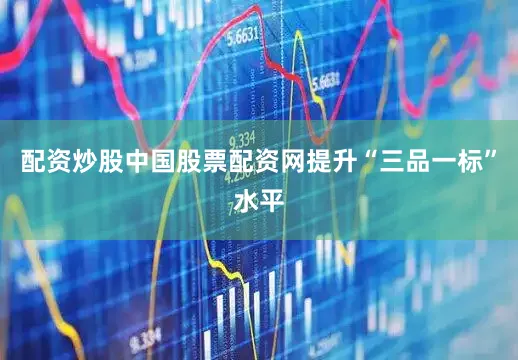 配资炒股中国股票配资网提升“三品一标”水平